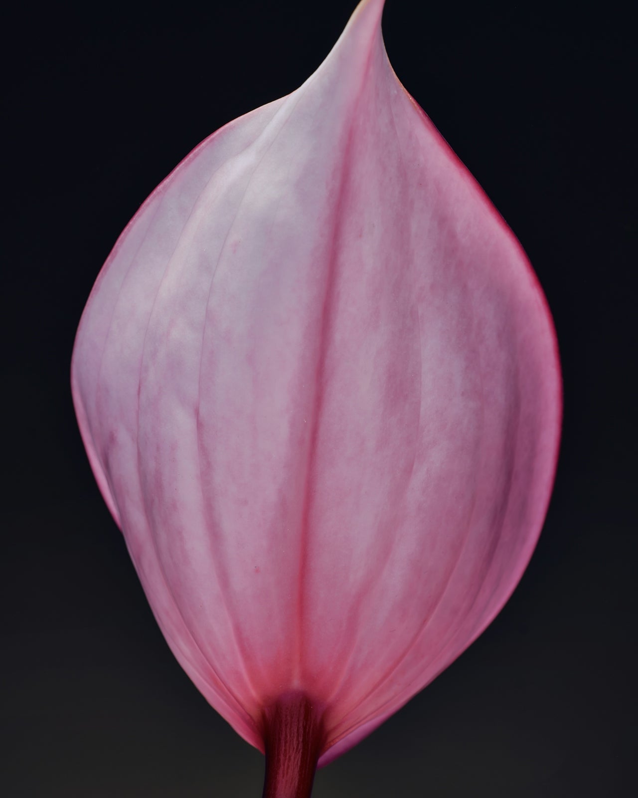 Sync With Your Cycle: How to Align Your Nutrition, Workouts, and Wellness With Your Hormones